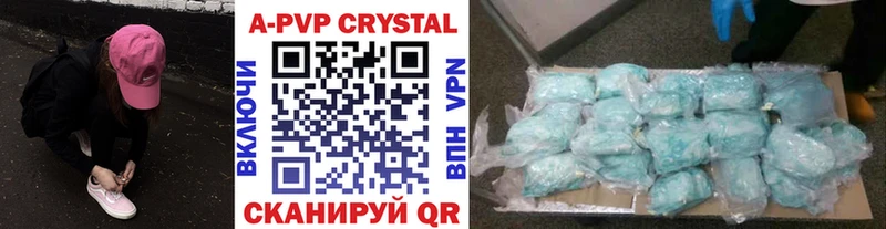 Альфа ПВП СК КРИС Дагестанские Огни