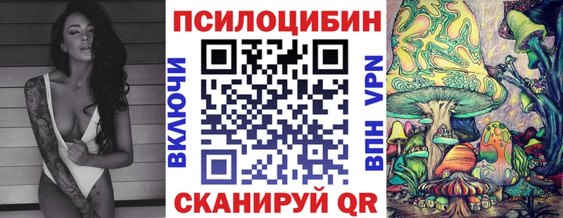 магазин продажи   Дагестанские Огни  Псилоцибиновые грибы MAGIC MUSHROOMS 